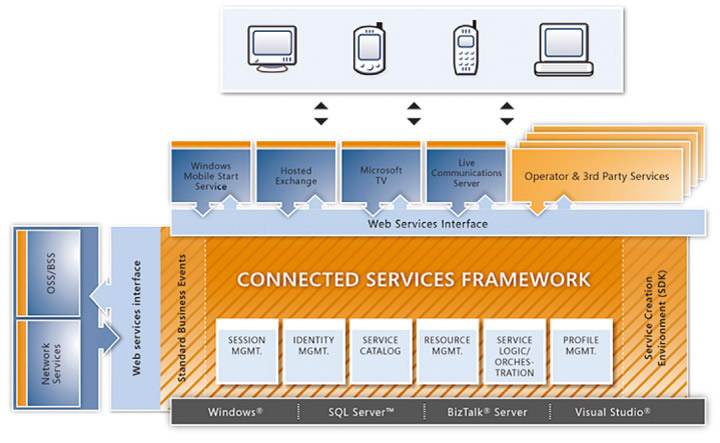 図1 Microsoft Connected Services Framework