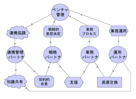 図3 ベンチャ組織のSDMの例